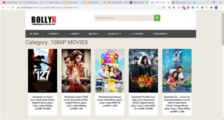 Bollyflix.vip: The Ultimate Guide to Streaming Bollywood Movies