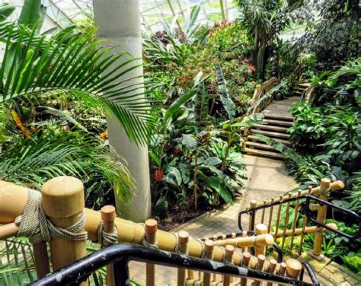 Fort Wayne Botanical Garden: A Paradise of Flora and Natural Beauty