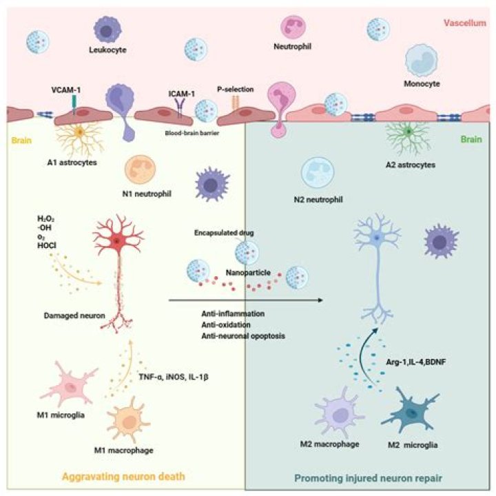 Lela Sohna Topless: A Comprehensive Exploration of the Controversial Topic